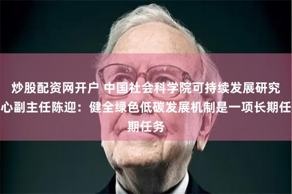 炒股配资网开户 中国社会科学院可持续发展研究中心副主任陈迎：