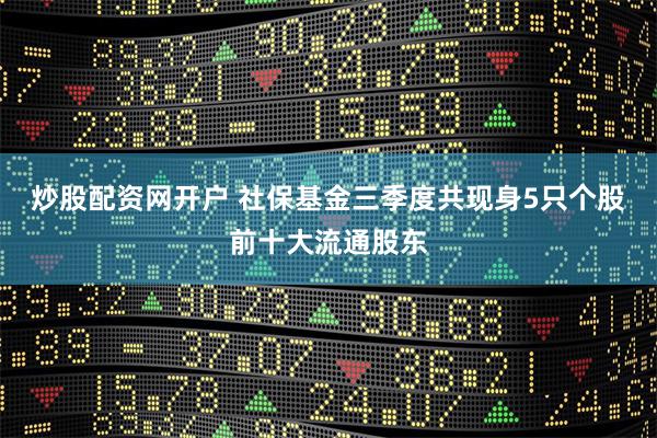 炒股配资网开户 社保基金三季度共现身5只个股前十大流通股东