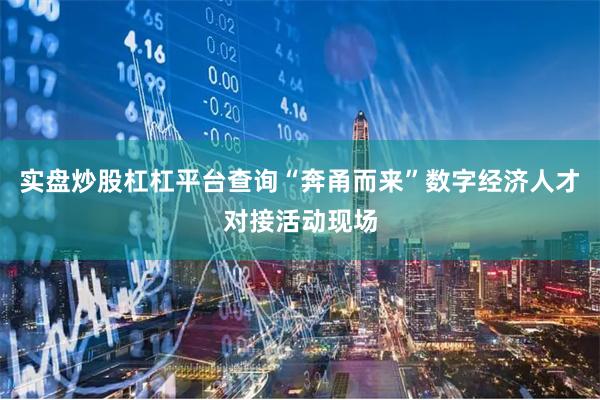 实盘炒股杠杠平台查询“奔甬而来”数字经济人才对接活动现场