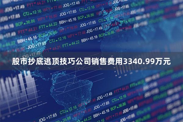 股市抄底逃顶技巧公司销售费用3340.99万元